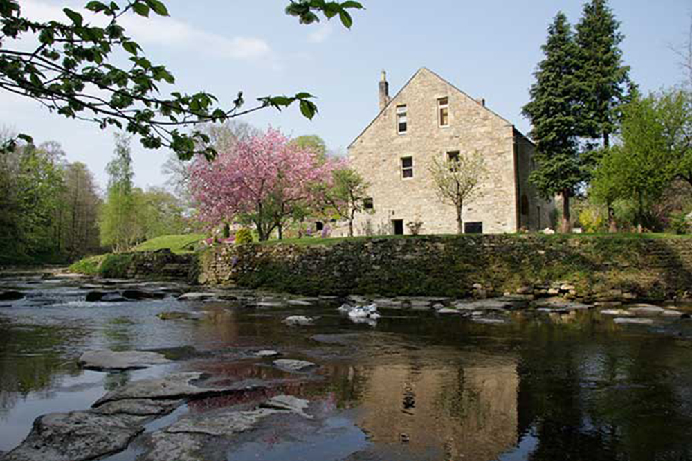 Dilston Mill - A view from Devil's
                        Water